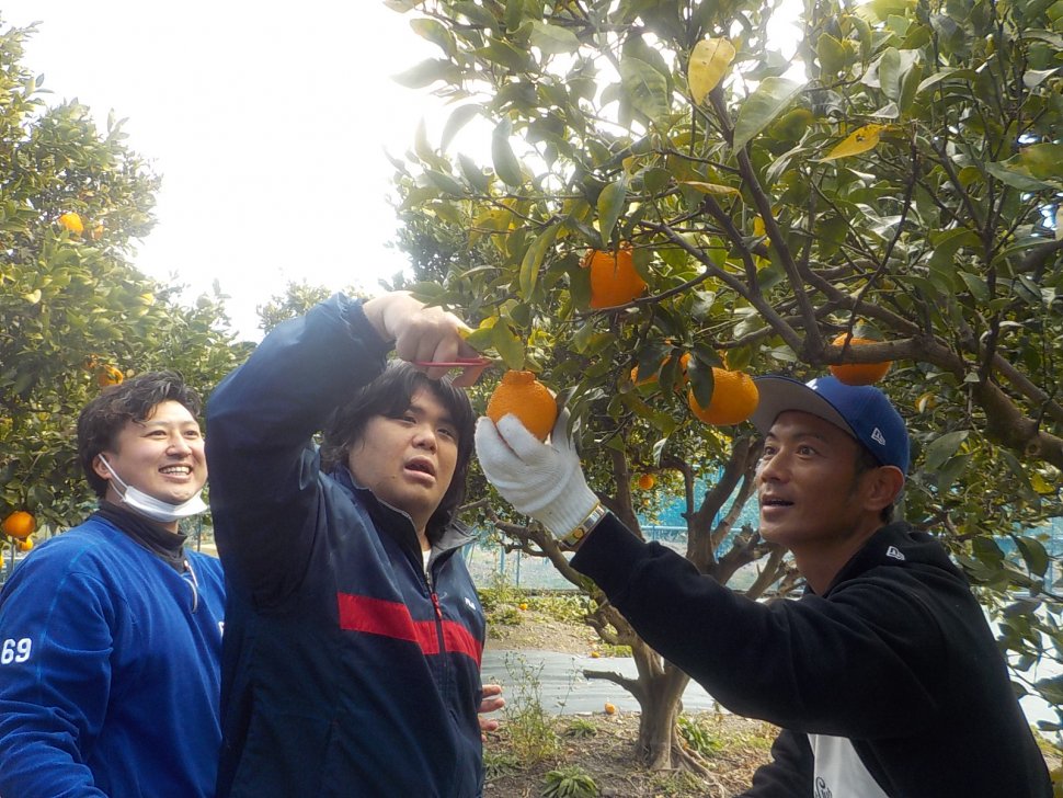 その他⑤