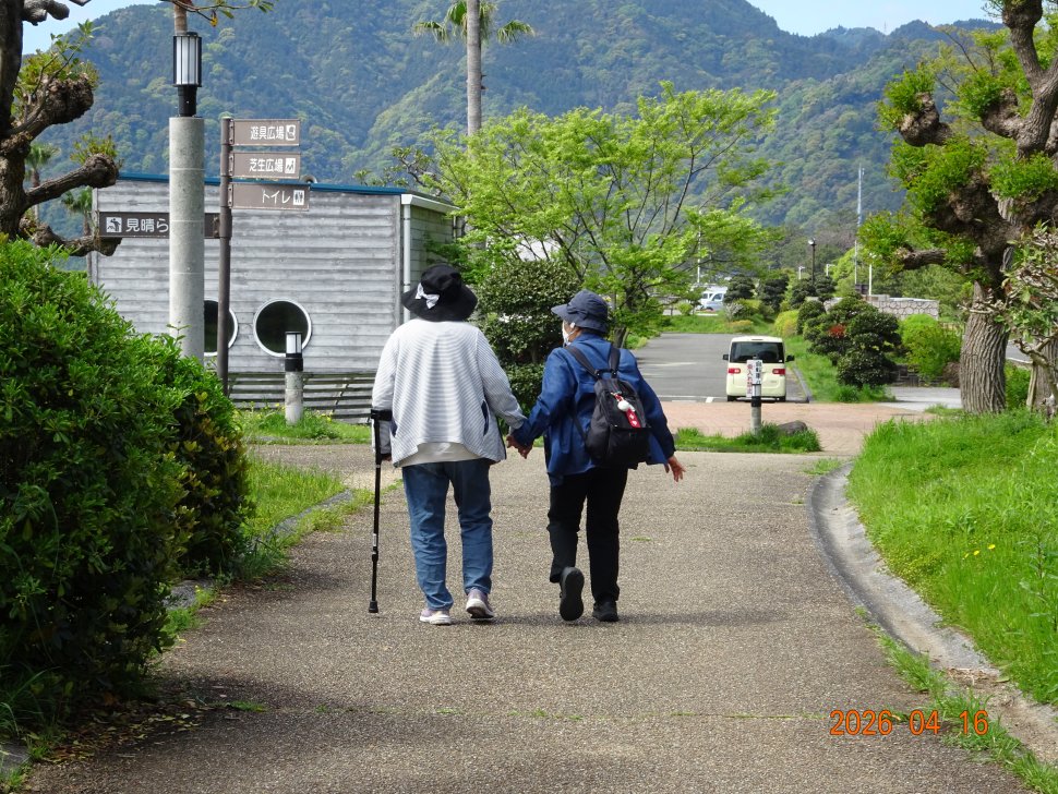 DSC03535